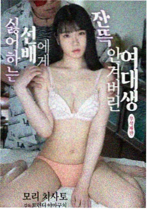 赛罗奥特曼登场角色形象